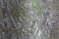 Harome fibreglass roof work